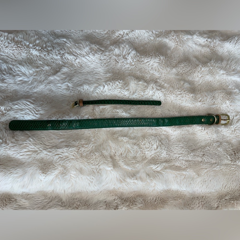 FriendshipCollar LE Snake Skin-like Emerald Green Leather Dog Collar set - Picture 2 of 8